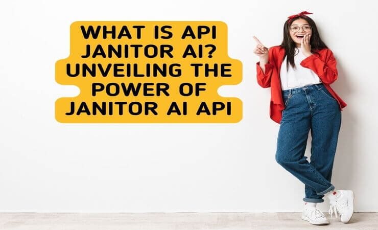 What is API Janitor AI